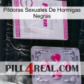 Píldoras Sexuales De Hormigas Negras 32